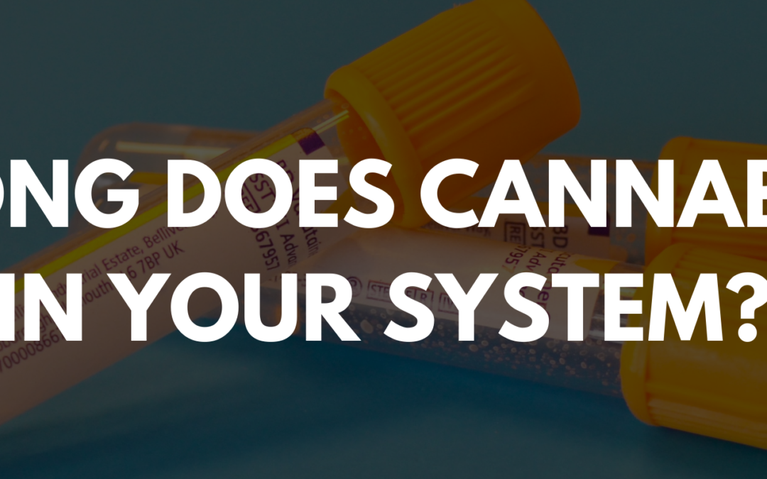 How Long Does Cannabis Stay In Your System
