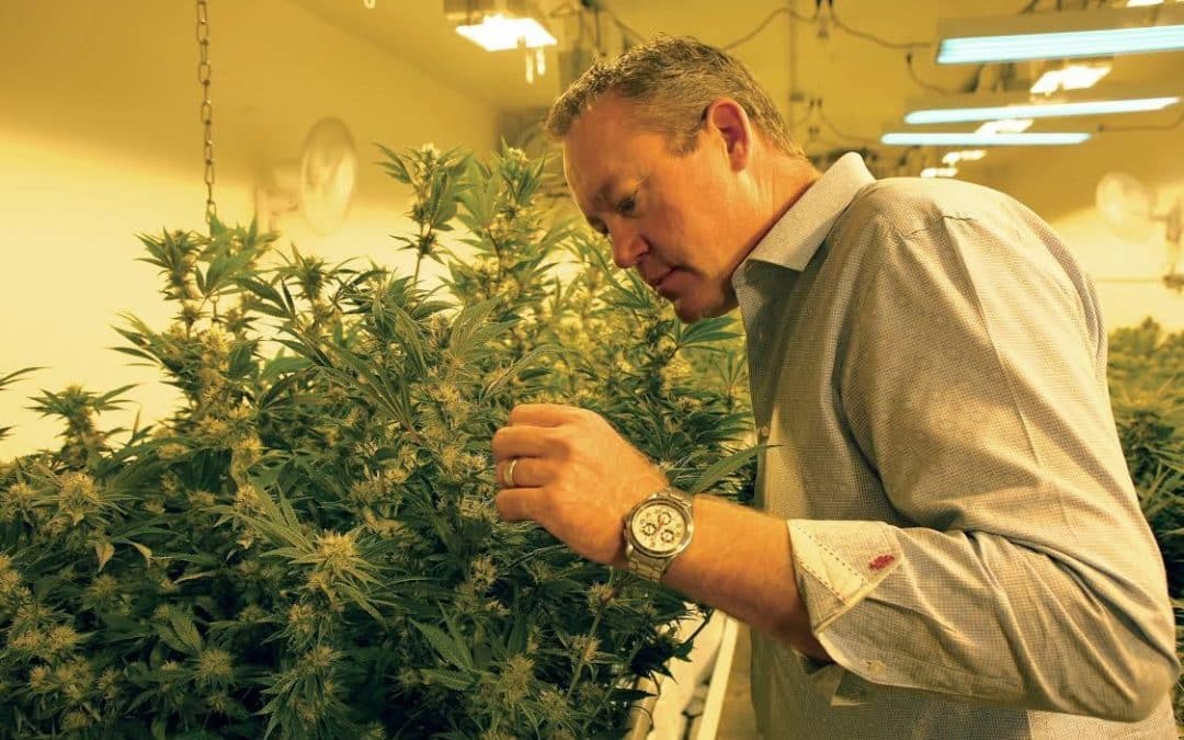 Colorado Harvest Company CEO Tim Cullen Joins Colorado Dept. of Agriculture Cannabis Work Group