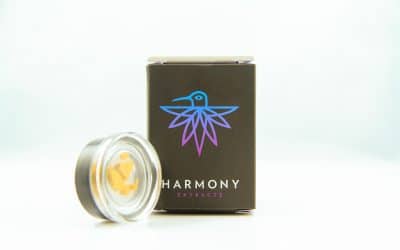 Company Spotlight: Harmony Extracts