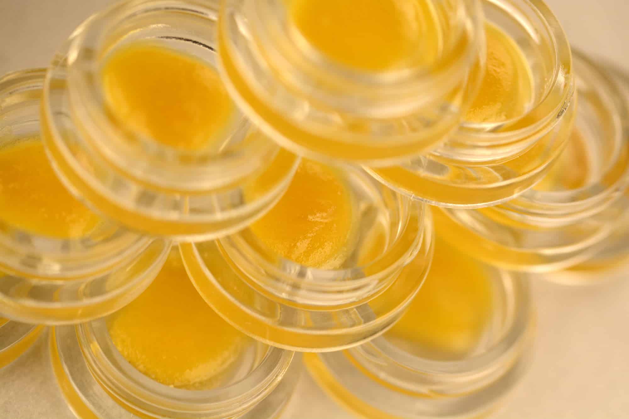 Harmony Extracts Denver Concentrates Containers