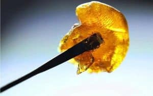 different cannabis concentrate types 1