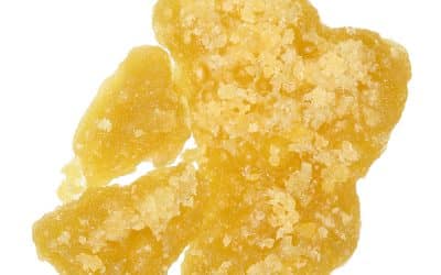 Live Resin and Other Live Cannabis Concentrates