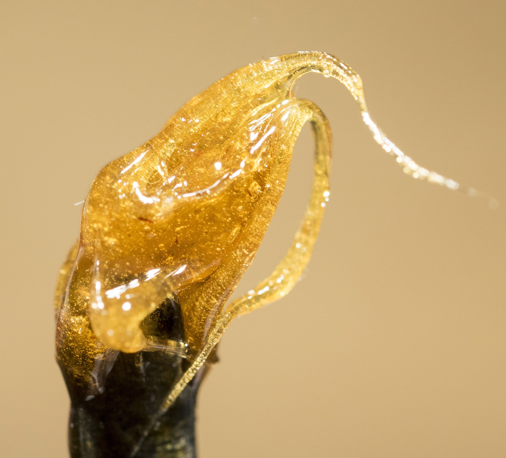 rosin concentrate