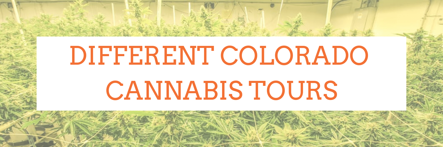 Different Colorado Cannabis Tours