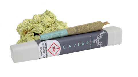 cannabis caviar joint dadirri