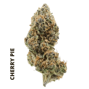 Cherry Pie Cannabis Flower