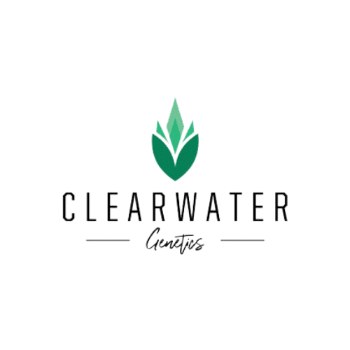 cleearwater genetics