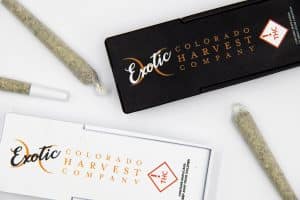 Exotic cannabis strains pre-rolls