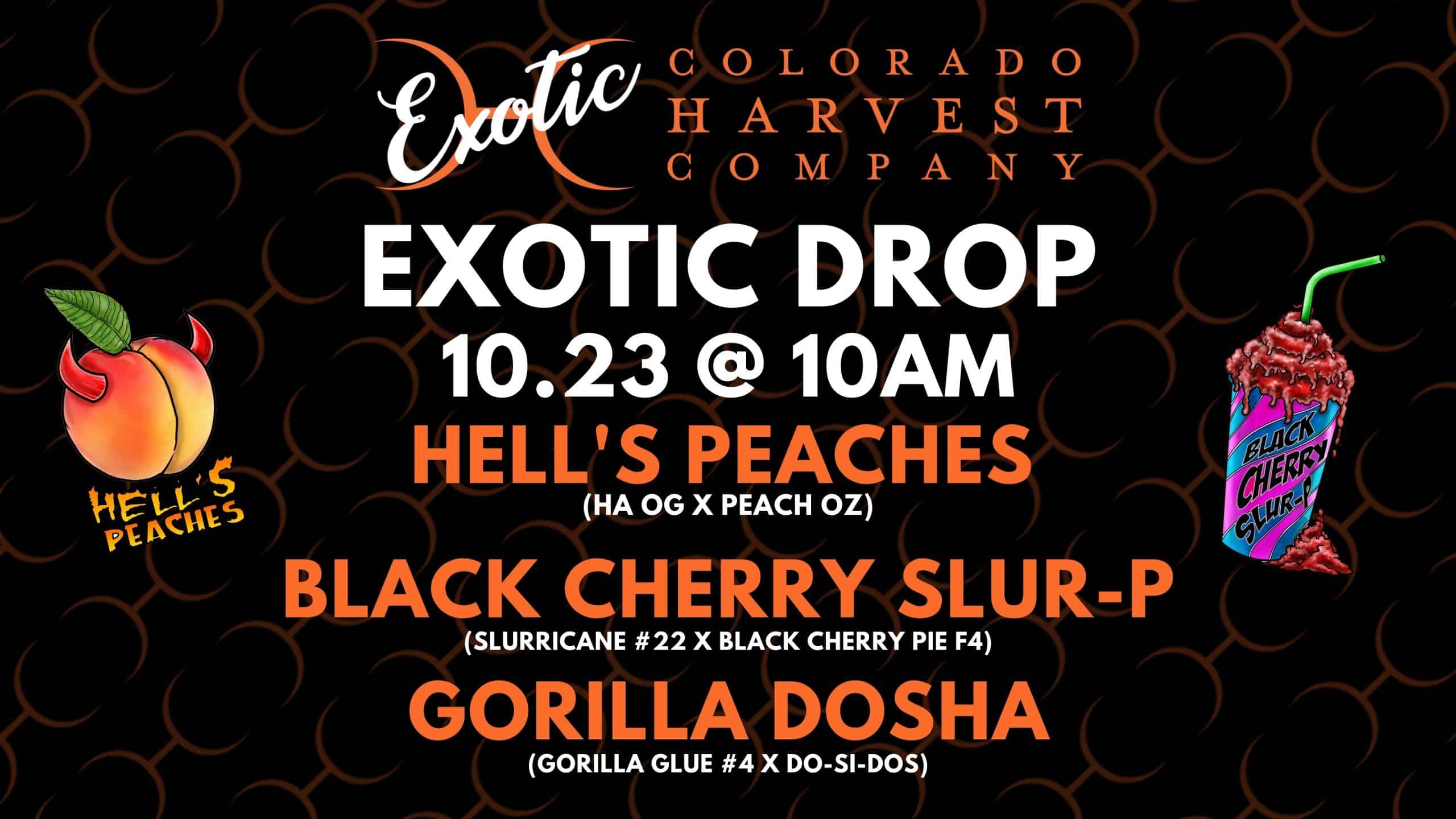 Exotic Drop 10.23.20 1 scaled