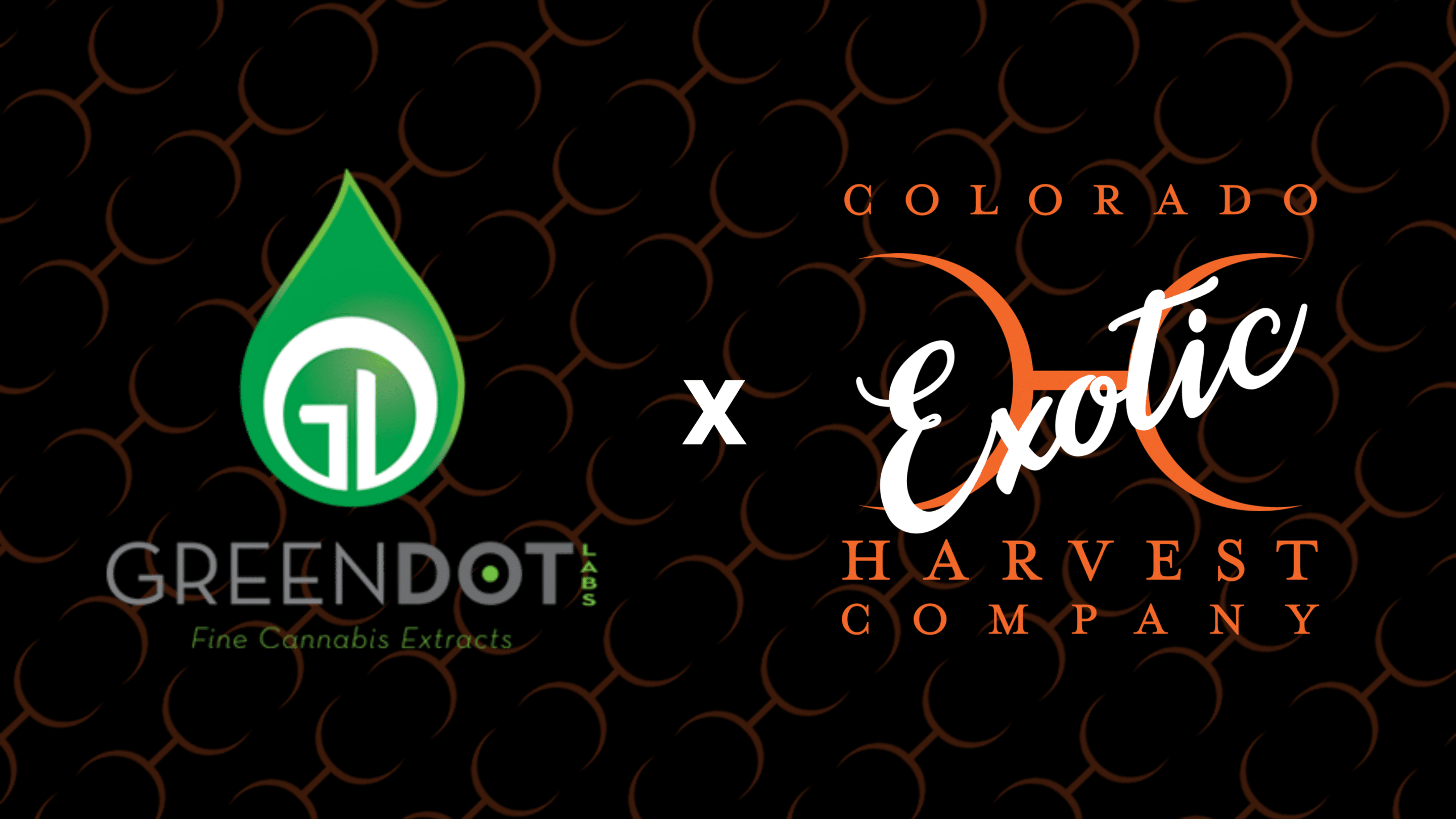 green dot labs x colorado harvest company