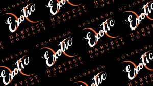 Exotic Strains Denver Colorado