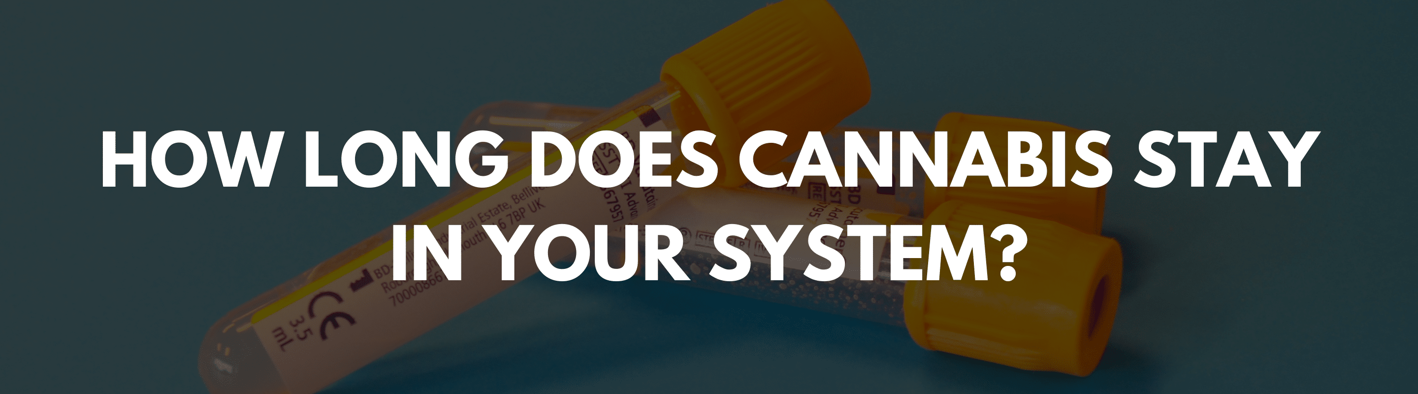 HOW LONG DOES CANNABIS STAY IN YOUR SYSTEM
