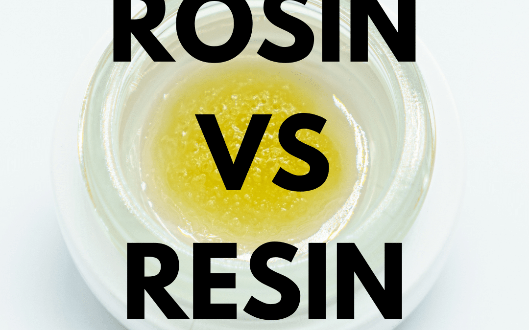 Cannabis Extracts | Rosin VS Resin