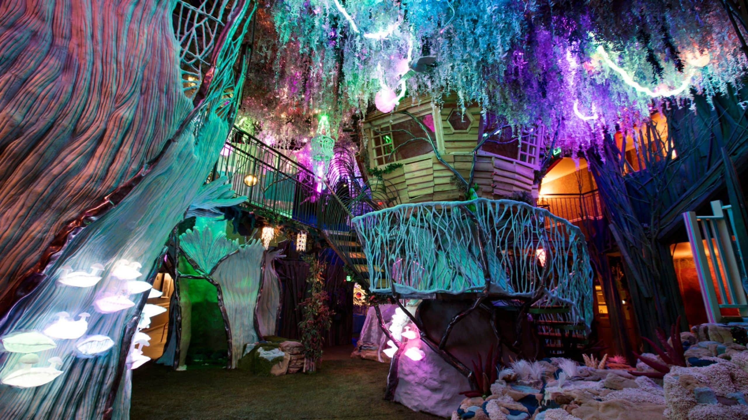 things to do in Denver Colorado - Meow Wolf