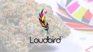 Loudbird cannabis flower