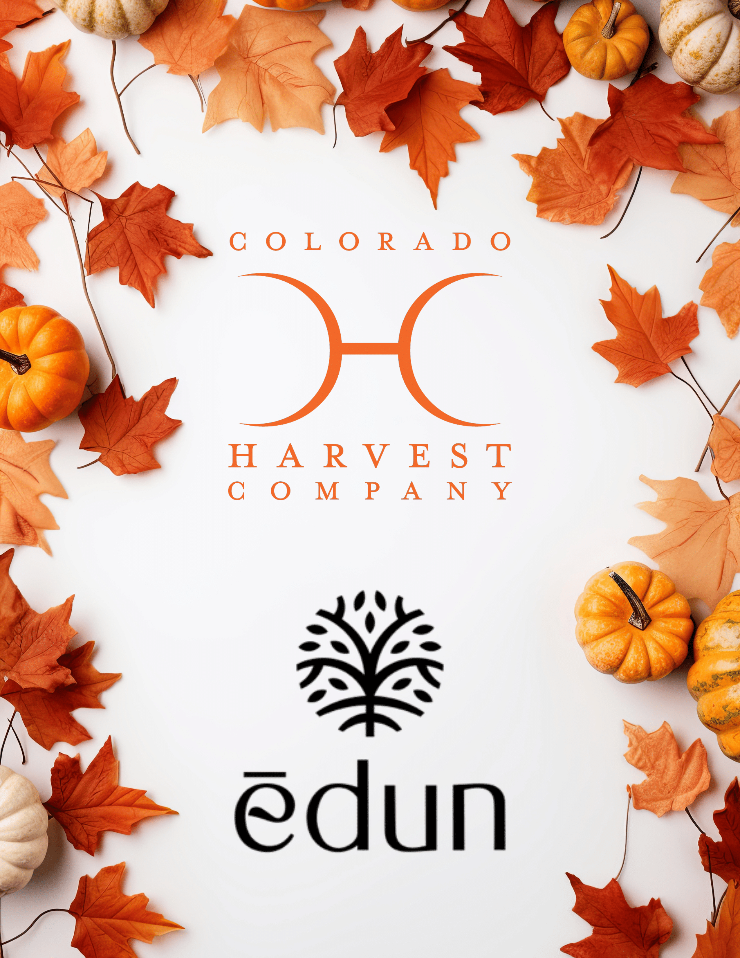 Colorado Harvest Company and Edun Cannabis October Vendor Deals
