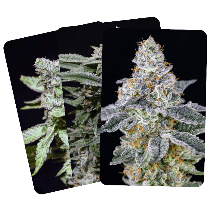 Naturally Grown Cannabis