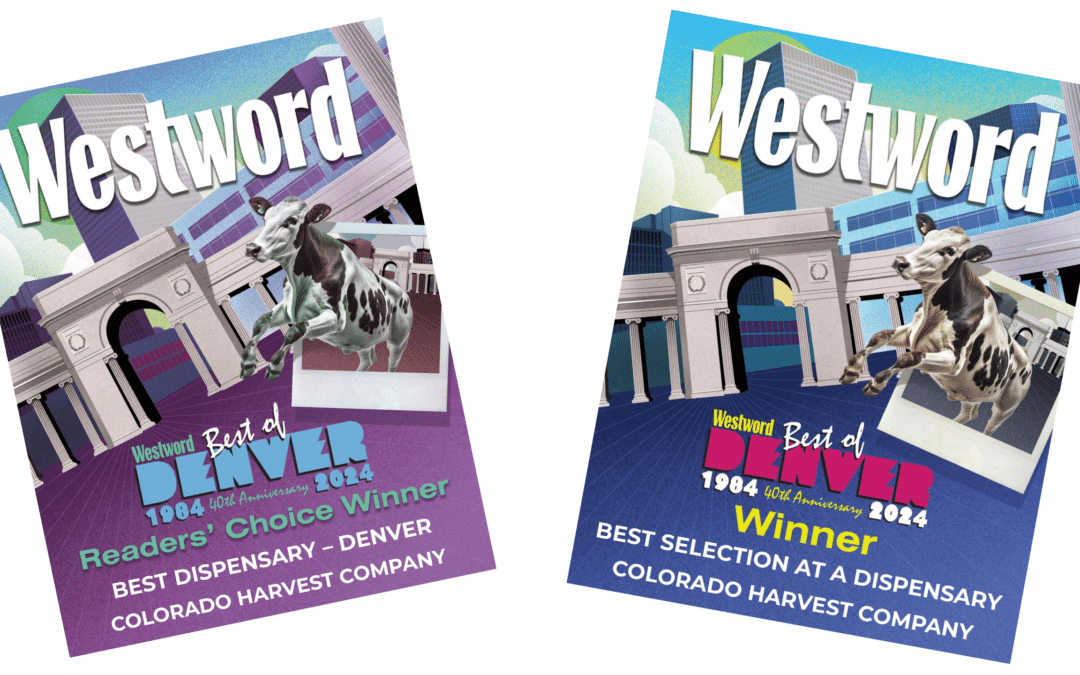 West Word Best Of Winner