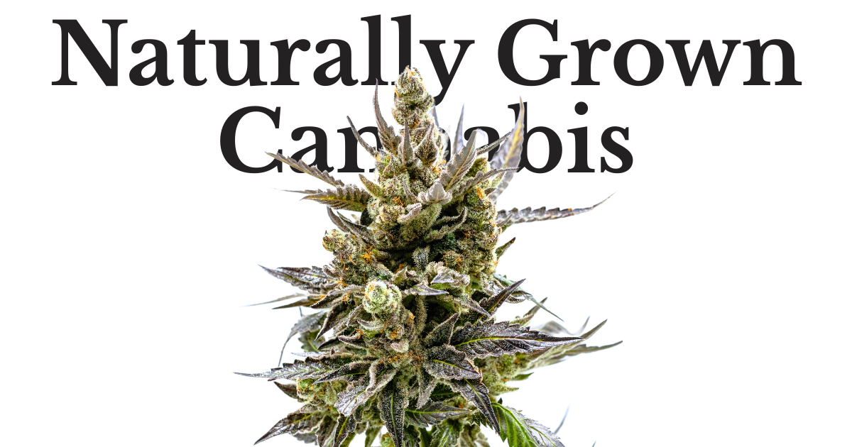 Home 5 Naturally Grown Cannabis 1
