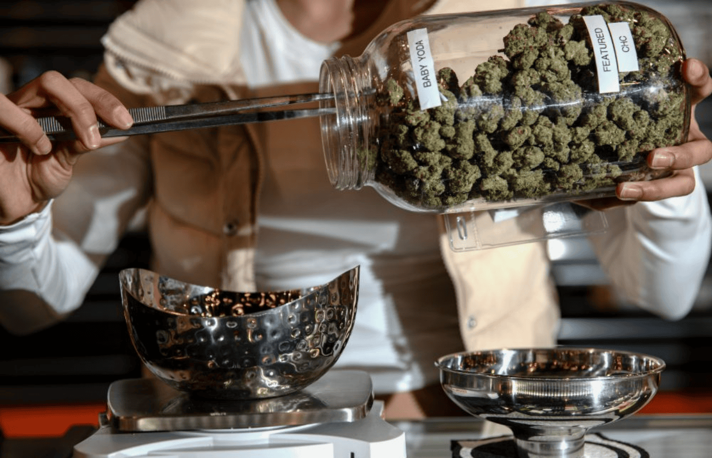 Medical vs. Recreational Cannabis in Colorado